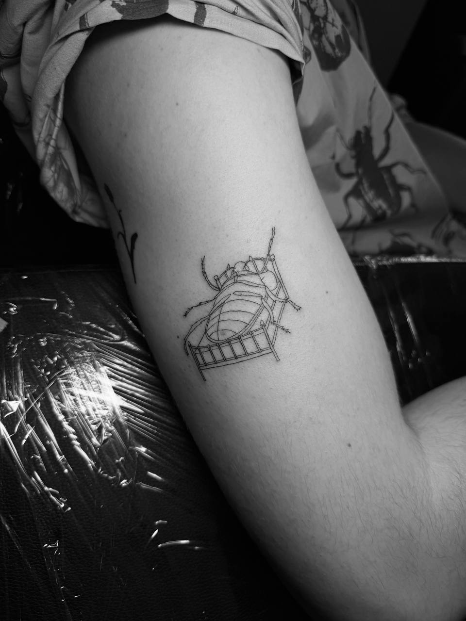 Tetovací studio Praha — fine line / Fine line tattoo studio Prague
